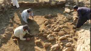 The discovery was made during an excavation at Barikot Ghundai.(Italian Archaeological Mission to Pakistan) The discovery was made during an excavation at Barikot Ghundai.(Italian Archaeological Mission to Pakistan)