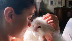 Alia Bhatt with her adorable cat Edward. Alia Bhatt with her adorable cat Edward.