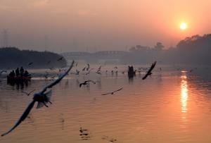 Migratory birds fly over the Yamuna river amid hazy weather conditions in New Delhi on Sunday.(PTI) Migratory birds fly over the Yamuna river amid hazy weather conditions in New Delhi on Sunday.(PTI)