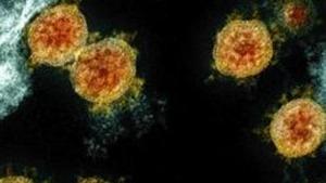 The records got swapped and Shibdas Banerjee remained under treatment for the coronavirus disease as Mohinimohan Mukherjee till he recovered.(AP) The records got swapped and Shibdas Banerjee remained under treatment for the coronavirus disease as Mohinimohan Mukherjee till he recovered.(AP)