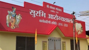 There are 368 cows in the shelter.(ANI/Twitter) There are 368 cows in the shelter.(ANI/Twitter)