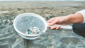 Young woman cleaning microplastics from sand on the beach.(Getty Images/iStockphoto) Young woman cleaning microplastics from sand on the beach.(Getty Images/iStockphoto)
