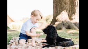 The image shows Prince George playing with Lupo.(Instagram/@kensingtonroyal) The image shows Prince George playing with Lupo.(Instagram/@kensingtonroyal)