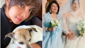 Priyanka Chopra with her mom Madhu Chopra on her wedding day and (left) with her pet Diana. Priyanka Chopra with her mom Madhu Chopra on her wedding day and (left) with her pet Diana.