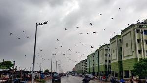 Dark Clouds hover over the city as Cyclone Nivar to cross the state, in Chennai on Tuesday. (ANI Photo) Dark Clouds hover over the city as Cyclone Nivar to cross the state, in Chennai on Tuesday. (ANI Photo)