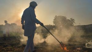 A farmer burns paddy stubble, in Punjab’s Rupnagar district earlier in October 7.(File photo) A farmer burns paddy stubble, in Punjab’s Rupnagar district earlier in October 7.(File photo)