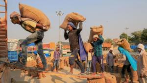Labourers load sacks of newly harvested paddy crop on a truck.(Representative Photo/PTI) Labourers load sacks of newly harvested paddy crop on a truck.(Representative Photo/PTI)
