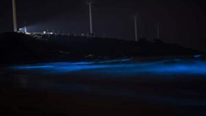 Bioluminescence at Devgad beach in Sindhudurg, Maharashtra.(Sourced: Sanit Acharekar) Bioluminescence at Devgad beach in Sindhudurg, Maharashtra.(Sourced: Sanit Acharekar)