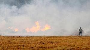 A farmer burns paddy stubble at Bhat Majra in Haryana.(HT archive) A farmer burns paddy stubble at Bhat Majra in Haryana.(HT archive)