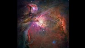 The image shows the Orion nebula.(Twitter@NASAUniverse) The image shows the Orion nebula.(Twitter@NASAUniverse)