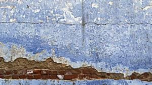 The wall’s beauty is particularly poignant because it is unintentional(Mayank Austen Soofi) The wall’s beauty is particularly poignant because it is unintentional(Mayank Austen Soofi)
