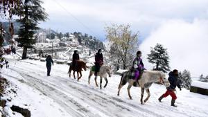Tourists riding on snow covered roads in Kufri on Thursday.(Deepak Sansta / HT) Tourists riding on snow covered roads in Kufri on Thursday.(Deepak Sansta / HT)