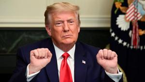 Trump said that Section 230 must be immediately terminated for purposed of “national security”.(REUTERS) Trump said that Section 230 must be immediately terminated for purposed of “national security”.(REUTERS)