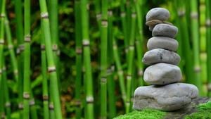 Learning to suppress the impulse for instant gratification is often vital for future success, but how patience is regulated in the brain remains poorly understood.(Pixabay) Learning to suppress the impulse for instant gratification is often vital for future success, but how patience is regulated in the brain remains poorly understood.(Pixabay)
