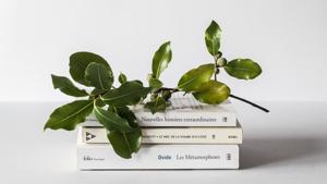 The winner will receive USD 5,000 along with a Rabindranath Tagore statuette. (Representational Image)(Unsplash) The winner will receive USD 5,000 along with a Rabindranath Tagore statuette. (Representational Image)(Unsplash)