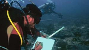 Underwater data collection in progress near Angria Bank.(Wildlife Conservation Society - India) Underwater data collection in progress near Angria Bank.(Wildlife Conservation Society - India)