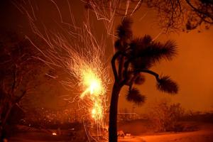 California has already been charred by record fires that have burned 4.2 million acres and killed 31 people in 2020.(Reuters File Photo) California has already been charred by record fires that have burned 4.2 million acres and killed 31 people in 2020.(Reuters File Photo)