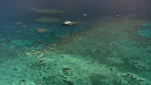 FILE - This Sept. 10, 2001, file photo shows Agincourt Reef, located about 30 miles off the coast near the northern reaches of the 1,200-mile long Great Barrier Reef.(AP) FILE - This Sept. 10, 2001, file photo shows Agincourt Reef, located about 30 miles off the coast near the northern reaches of the 1,200-mile long Great Barrier Reef.(AP)