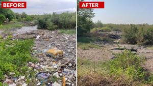 A combination photograph showing the Navi Mumbai mangrove patch before and after it was cleaned.(Photo: Environment Life) A combination photograph showing the Navi Mumbai mangrove patch before and after it was cleaned.(Photo: Environment Life)