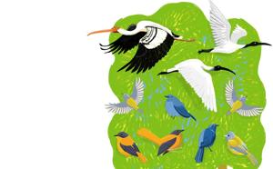 (HT Illustration: Mohit Suneja) (HT Illustration: Mohit Suneja)