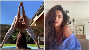 Esha Gupta doing Uttanasana in new post will make you want to exercise(Instagram/egupta) Esha Gupta doing Uttanasana in new post will make you want to exercise(Instagram/egupta)