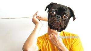It’s time to defend yourself strongly instead of sidestepping a loathsome query from an incorrigible questioner(Parth Garg) It’s time to defend yourself strongly instead of sidestepping a loathsome query from an incorrigible questioner(Parth Garg)