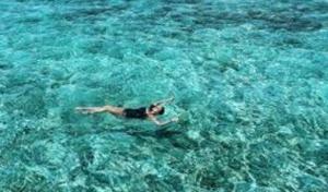 Days after returning from her Maldives holiday, Sonakshi has shared a picture. Days after returning from her Maldives holiday, Sonakshi has shared a picture.