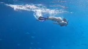 Disha Patani has shared a video of her swimming with the fish. Disha Patani has shared a video of her swimming with the fish.