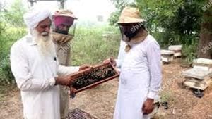 Farm-grown honey is available at a price of <span class='webrupee'>₹</span>145 per kg at this time while last year it was available at <span class='webrupee'>₹</span>95 (unbranded)(Representative Image/ HT File Photo) Farm-grown honey is available at a price of <span class='webrupee'>₹</span>145 per kg at this time while last year it was available at <span class='webrupee'>₹</span>95 (unbranded)(Representative Image/ HT File Photo)