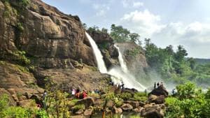 According to IUCN 2020 report, the conservation outlook of the mountain chain of the Western Ghats, one of the worlds eight hottest hot spots of biological diversity, is of significant concern. Representational image.(Getty Images/iStockphoto)