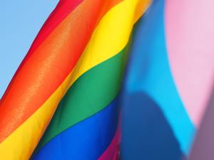 The NCRB has decided to incude transgender in a separate category in the gender classification of prisoners.(Unsplash) The NCRB has decided to incude transgender in a separate category in the gender classification of prisoners.(Unsplash)