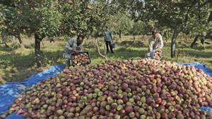 Kashmiri fruit growers have said they support the Bharat Banch called by farmers.(HT FILE PHOTO) Kashmiri fruit growers have said they support the Bharat Banch called by farmers.(HT FILE PHOTO)