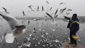 Bird feeding must be phased out, just like petting zoos are mostly done.(Sonu Mehta/HT file photo) Bird feeding must be phased out, just like petting zoos are mostly done.(Sonu Mehta/HT file photo)