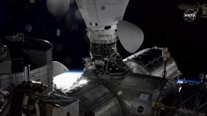 Dragon cargo capsule docks at the International Space Station alongside a Dragon crew capsule.(AP) Dragon cargo capsule docks at the International Space Station alongside a Dragon crew capsule.(AP)