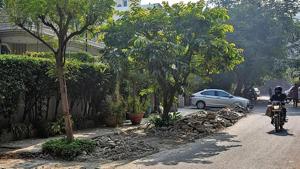 The total number of trees in the area has gone down from 787 to 731, despite the addition of 21 new trees. The first tree census was conducted in 2012, and second one between 2018 and 2019 in the neighbourhood, the results of which were compiled this year.(Amal KS/HT PHOTO) The total number of trees in the area has gone down from 787 to 731, despite the addition of 21 new trees. The first tree census was conducted in 2012, and second one between 2018 and 2019 in the neighbourhood, the results of which were compiled this year.(Amal KS/HT PHOTO)