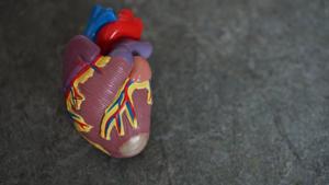 The WHO said diabetes and dementia are also among the world’s top 10 causes of death.(Unsplash) The WHO said diabetes and dementia are also among the world’s top 10 causes of death.(Unsplash)