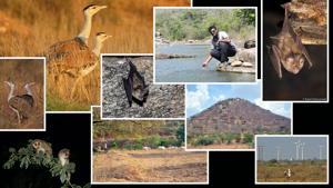 Through various initiatives, The Habitats Trust works to empower on-ground conservationists and organisations in India.(The Habitats Trust) Through various initiatives, The Habitats Trust works to empower on-ground conservationists and organisations in India.(The Habitats Trust)