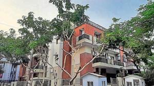 In this photo taken from a phone camera a tree is seen in the middle of a cemented pavement in Vasant Vihar, New Delhi.(Vipin Kumar/ Hindustan Times) In this photo taken from a phone camera a tree is seen in the middle of a cemented pavement in Vasant Vihar, New Delhi.(Vipin Kumar/ Hindustan Times)