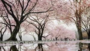 New coronavirus infections in Japan reached 2,848 cases on Thursday, the most in a single day since the pandemic began.(Unsplash) New coronavirus infections in Japan reached 2,848 cases on Thursday, the most in a single day since the pandemic began.(Unsplash)