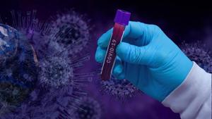 The findings, published in the journal PLOS Computational Biology, found that ducks, rats, mice, pigs and chickens had lower or no susceptibility to the coronavirus compared to humans.(Pixabay) The findings, published in the journal PLOS Computational Biology, found that ducks, rats, mice, pigs and chickens had lower or no susceptibility to the coronavirus compared to humans.(Pixabay)