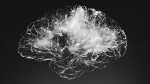 The findings published in PNAS and Science shows how the brain functions while encoding time and place into memories.(Unsplash) The findings published in PNAS and Science shows how the brain functions while encoding time and place into memories.(Unsplash)