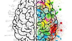 “Our results suggest that every experience we store into memory can be used to set our expectations and predictions for the future,” Kareem Zaghloul.(Pixabay) “Our results suggest that every experience we store into memory can be used to set our expectations and predictions for the future,” Kareem Zaghloul.(Pixabay)