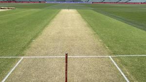 Adelaide pitch for the day-night India vs Australia Test match(Twitter) Adelaide pitch for the day-night India vs Australia Test match(Twitter)