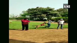 The image shows the dog Ruby with its handlers.(Twitter/ANI) The image shows the dog Ruby with its handlers.(Twitter/ANI)