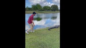 The image shows the man approaching the alligator.(Facebook/@Kyle Downes) The image shows the man approaching the alligator.(Facebook/@Kyle Downes)