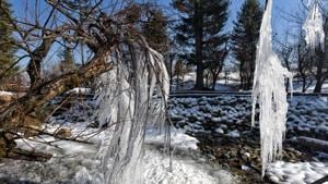 Icicles are seen on tree branches, at Drung region of Tangmarg, about 50 kilometers from Srinagar.(HT Photo)