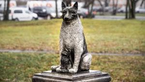 The statue of the stray dog Zorik, warming up a kitten, is placed in front of a shopping center in Tallinn, Estonia.(AP) The statue of the stray dog Zorik, warming up a kitten, is placed in front of a shopping center in Tallinn, Estonia.(AP)