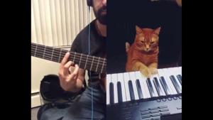 The image shows Russian guitarist Marsel Gilmanov and his pet cat Barne.(Screengrab) The image shows Russian guitarist Marsel Gilmanov and his pet cat Barne.(Screengrab)