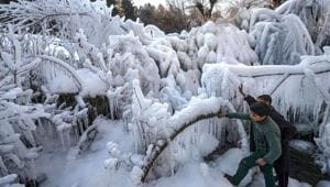 Children look at icicles hanging from trees, formed after a water supply line burst, as temperature dropped below zero, on the outskirts of Shopian in South Kashmir.(PTI)