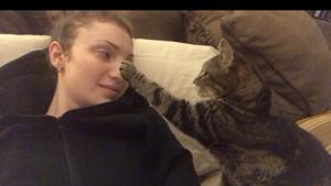 The image shows a cat ‘booping’ a woman.(Reddit) The image shows a cat ‘booping’ a woman.(Reddit)
